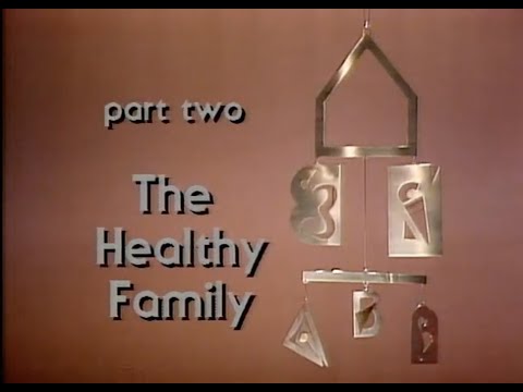 John Bradshaw_The Family_ Part 2_The Healthy Family