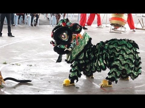 Lion Dance Video 2013 吉隆坡威武金昇龙狮团 傳統舞獅比賽