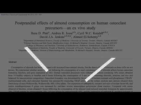 Alkaline Diets Animal Protein and Calcium Loss
