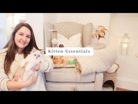 Huge Affordable Kitten Haul ~ Everything you need to bring a kitten home | Neutral Aesthetic