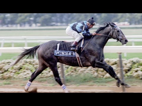 Spectacular Bid or the coulda woulda shoulda triple crown