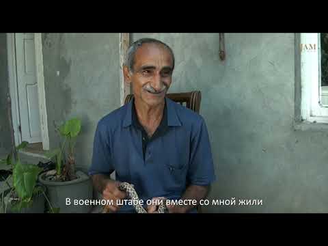 Гасан Абиев и его змеи: житель села в Азербайджане хочет спасти редкие виды гюрзы