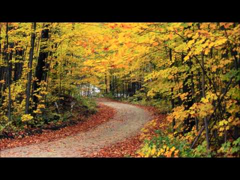 Yiruma (이루마) - Autumn Scene [HD]