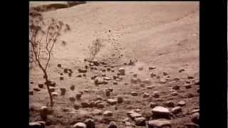 THE SPOOK SCHOOL - That's When I Ran Away (home recording)