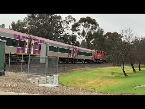 V Line N class - Swan Hill line - Weeroona Avenue White Hills 29-5-22