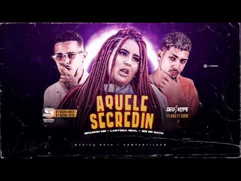 ZOI DE GATO, BRANKIN MR, LARYSSA REAL - AQUELE SEGREDIN - REMIX BREGA FUNK
