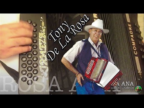 Polka Rosa Ana (EXPLICADA) instruccional | Tutorial de acordeon