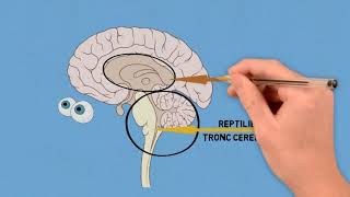 S'adapter et réagir aux défis de la vie (partie 1)
