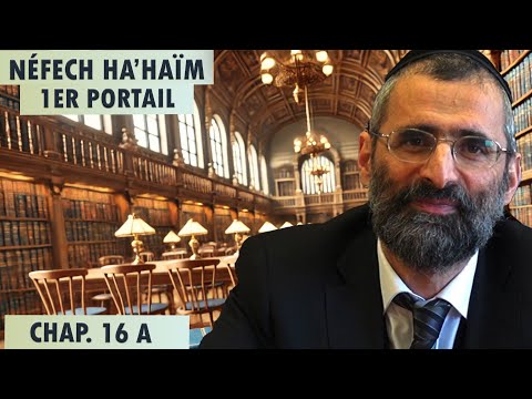 Le secret de la néshama et de la personne - Livre Néfech Ha'Haïm - Chap. 16 (P29) - Rav Ron Chaya