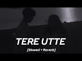 Tere Utte Slowed Reverb Amrinder Gill Lofivibes 10