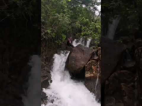 the nature #nature #hashtag #new #love #stream #hiking #short