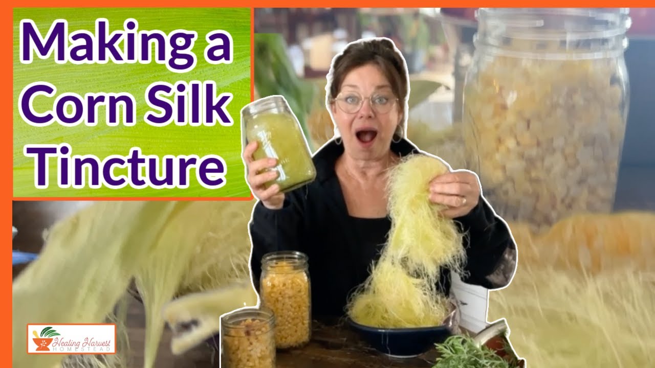 Benefits of Corn Silk and How to Make a Corn Silk Tincture - YouTube