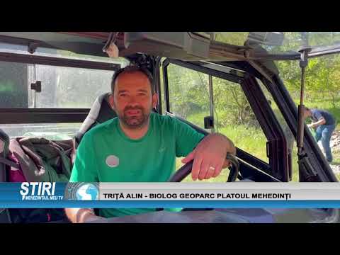 ALBIA RÂULUI COȘUȘTEA DIN COMUNA ILOVĂȚ CURĂȚATĂ BEC