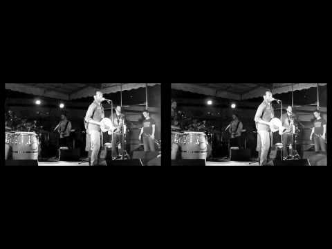 3D Live Music - Afrodizz @ Grand Parc Bordeaux (08/07/2010) Extrait 04