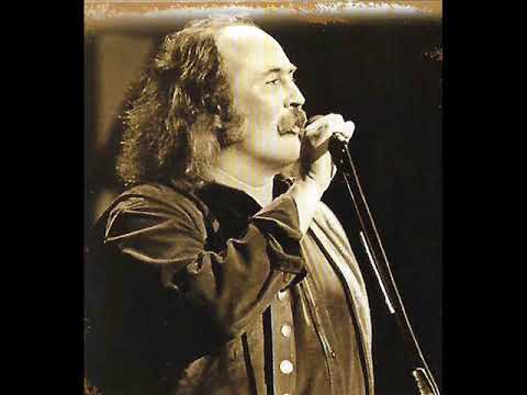 DAVID CROSBY - Almost Cut My Hair / Long Time Gone LIVE '89