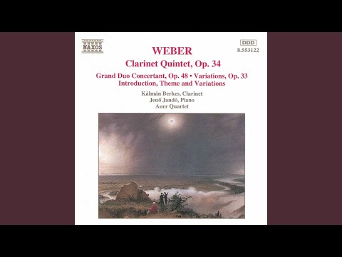 Clarinet Quintet in B-Flat Major, Op. 34, J. 182: IV. Rondo: Allegro giocoso