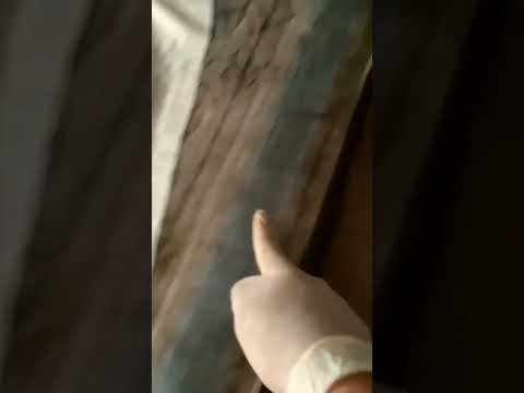 ¿cómo es el motel más barato de Guadalajara? 🏙️