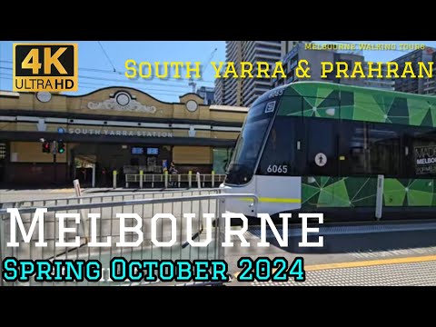 4K Melbourne Chapel St, South Yarra & Prahran | Walking Tour Ultra Wide | Spring 24 Street Art Trams