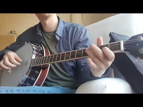 McNeela "The Celt" 19 Fret Tenor Banjo - Image 2
