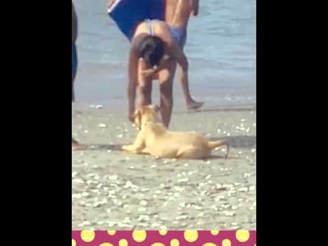 Primera playa de Ozzy   (Created with @Magisto)