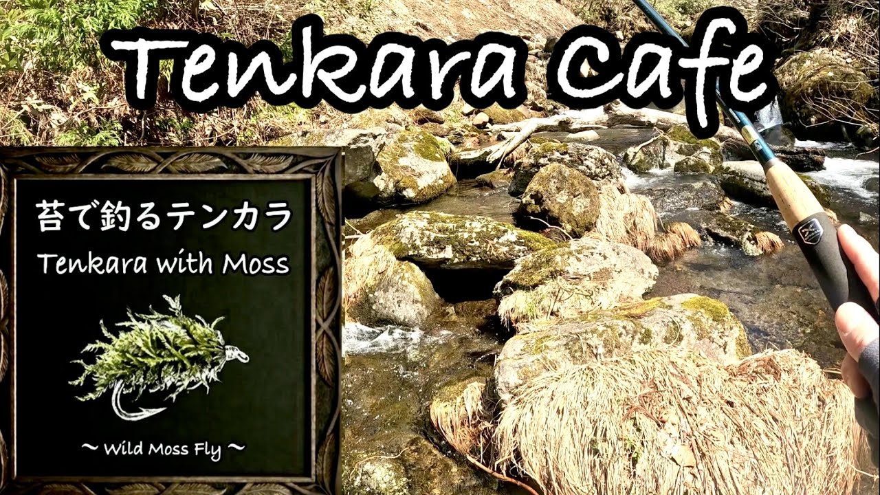 【Tenkara Cafe 】【衝撃】その辺の「苔」で毛鉤を巻いたら、驚きの結果に。｜Wild Moss Fly