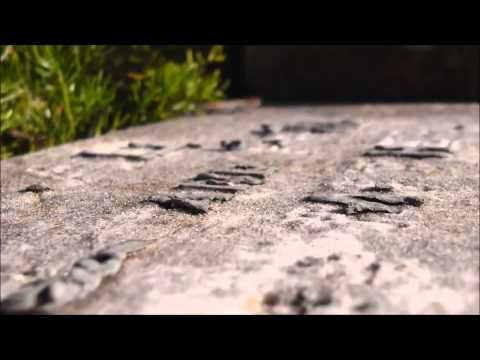 Mizar & Harmosini - Prolet Pod Zemjata