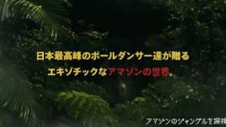 ageHaAug 2011  POLE DANCER SHOWCASE quotTHE AMAZONquot