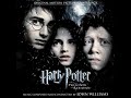 John Williams - Hagrid The Professor