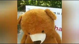 Cover art for When is the Next Bus?