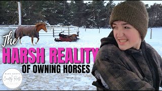 FACING THE HARSH REALITY OF OWNING HORSES | MILO UPDATE | VLOG