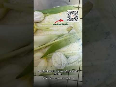 Cát Silicagel Hút Ẩm Làm Hoa Khô, Resin Epoxy - Giá Rẻ 53.000Đ Túi Zip Tiện Lợi