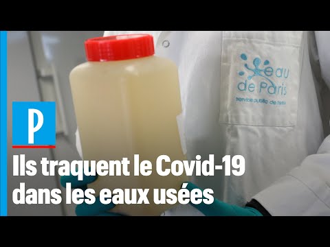 Covid-19 : l'analyse des eaux usées pourrait prédire une 3e vague du virus