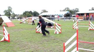 preview picture of video 'concours d'agility Pacy sur Eure 2011 Open+ Linda Angun 017'