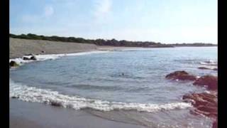 FlatusVID0017-Valley of the Dolls