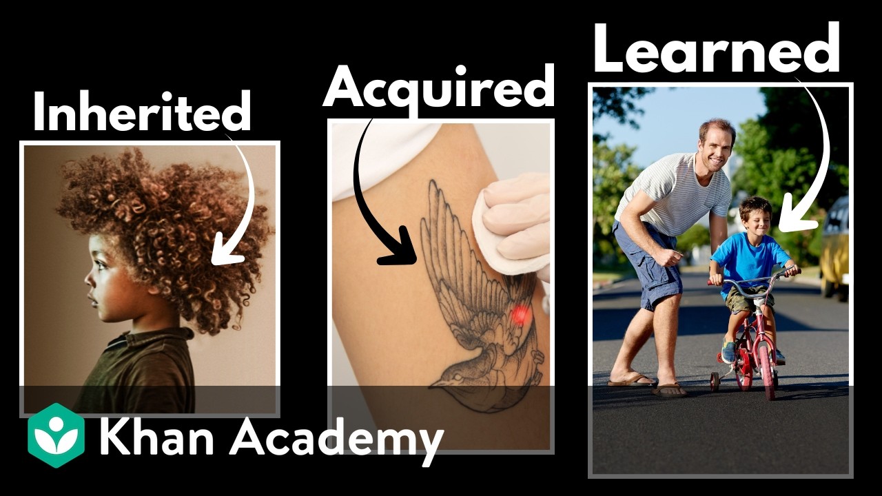 Traits and fitness | Middle school biology | Khan Academy