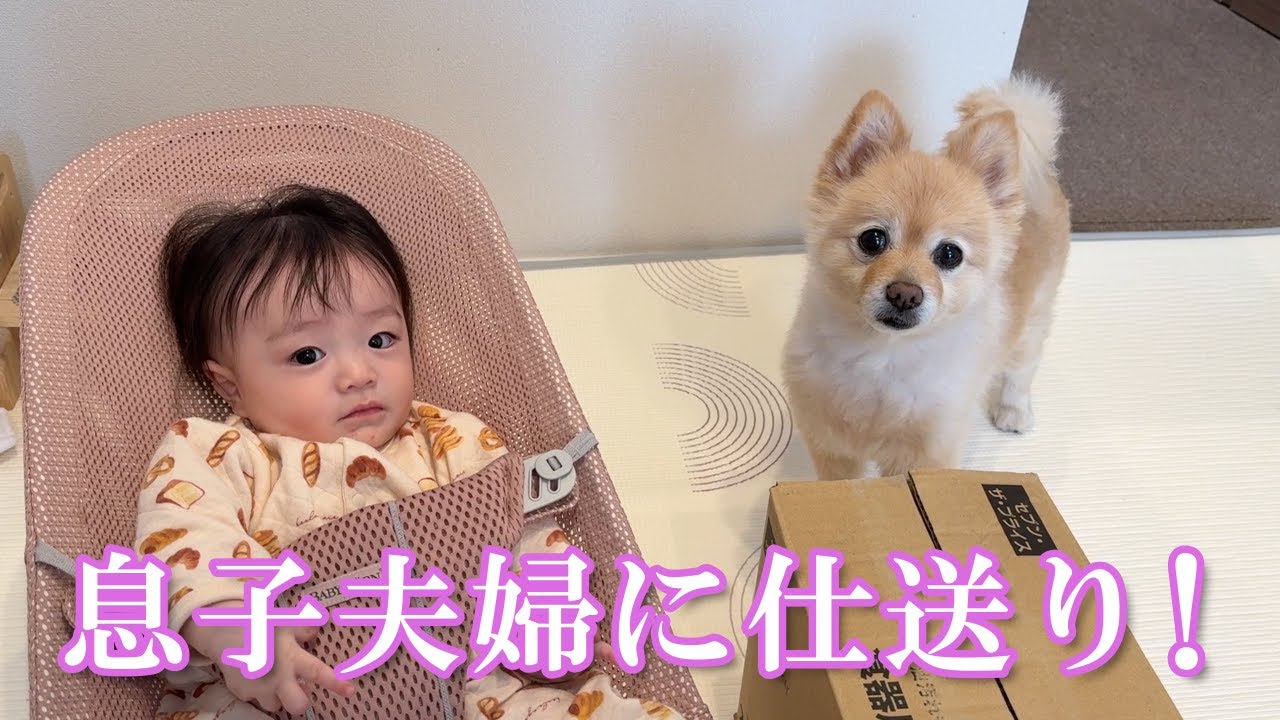 【仕送り開封】ポメくんと息子夫婦に仕送りを送りました！