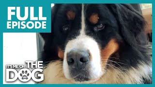 Thumbnail del capítulo