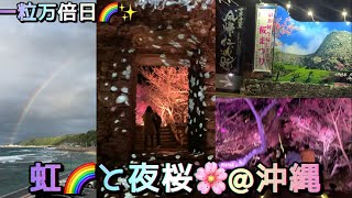 2/8/26(日)一粒万倍日✨虹🌈&夜桜🌸 @沖縄🇯🇵