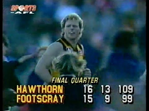 1985 Preliminary Final - Hawthorn vs Footscray