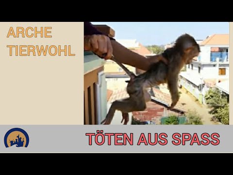 Töten aus Spaß