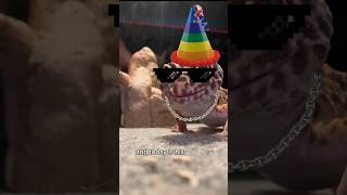Download lagu Celebrating My Leopard Geckos Birthday! (Crazy night) mp3 Download lagu Celebrating My Leopard Geckos Birthday! (Crazy night) mp3