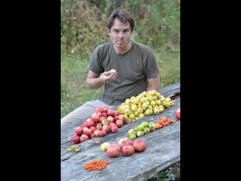 Malus Sieversii - von Uräpfeln, Expeditionen und der neuen Art zu wirtschaften