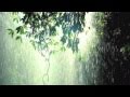 Island Rain - Joey Ryan cover