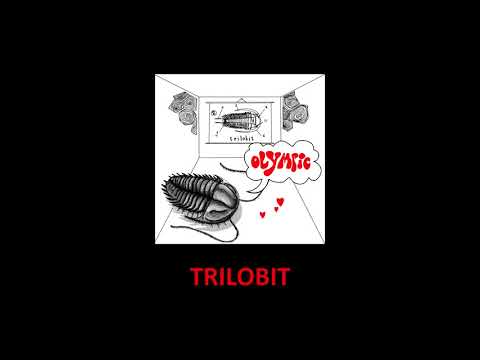 NOVÉ ALBUM OLYMPIC / TRILOBIT 2018