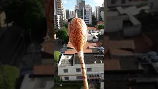 Arte-feitiço contra a Xawara de COVID-19