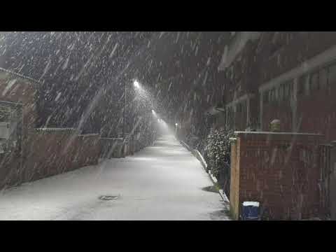 Fitta nevicata a Briona (NO) - 28 dicembre 2020, ore 5