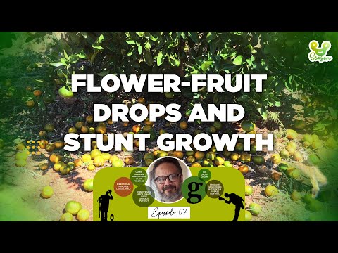 Flowers- Fruit drops and Stunt growth I Venugopal Madhav I Podcast 07