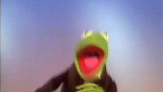 Kermit - Happy Feet