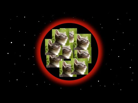 Die Schwarzschilddichte