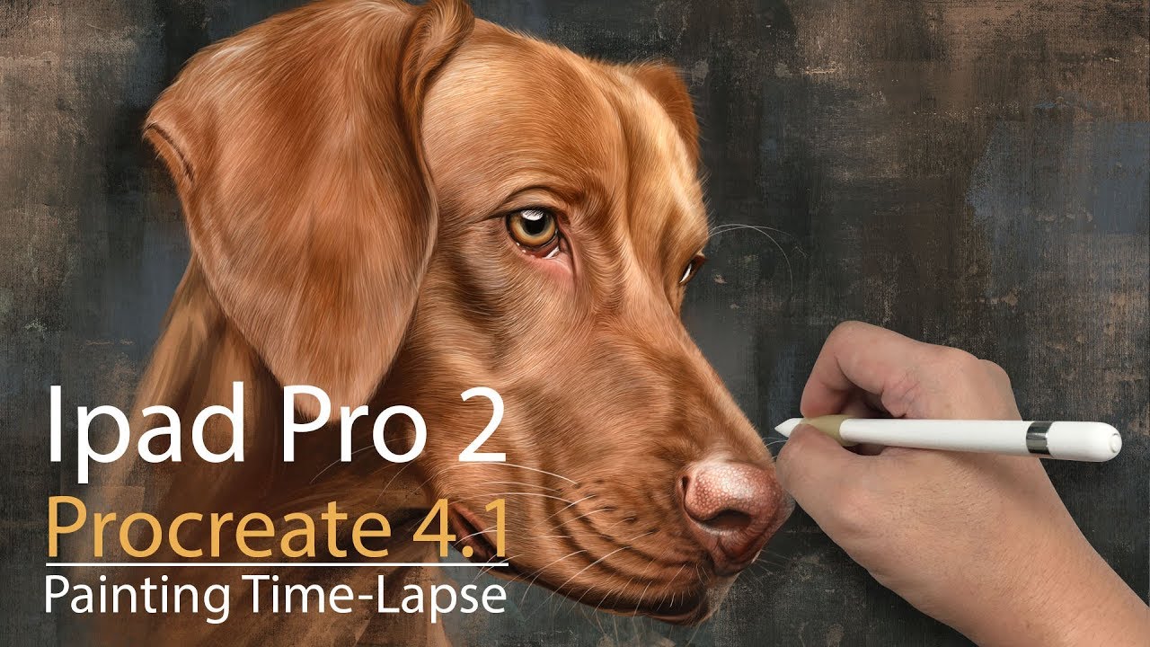 ipad Pro Procreate 4.1 Painting Dog